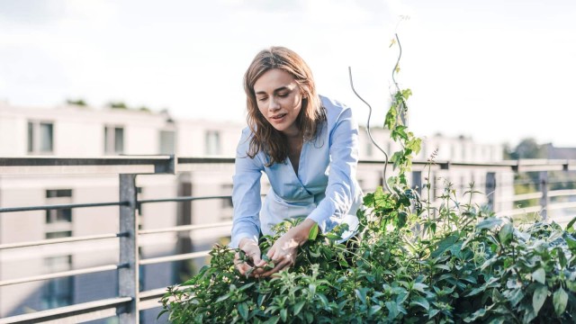 Frau kümmert sich um Balkonpflanzen 