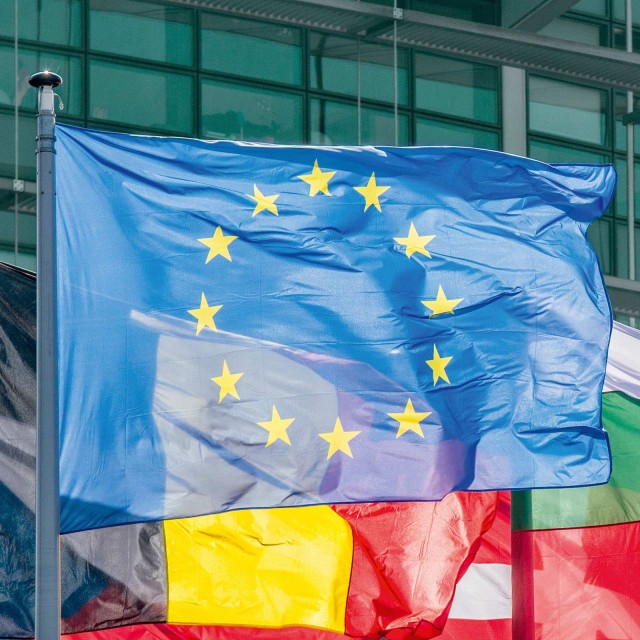 Two waving European flags