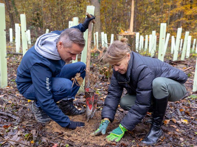 A man and a woman plant a tree seedling