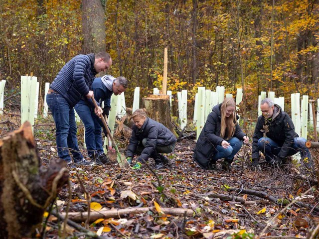 A team of several people planting trees in the forest