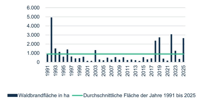 Waldbrandfl&auml;che in Deutschland seit 1991