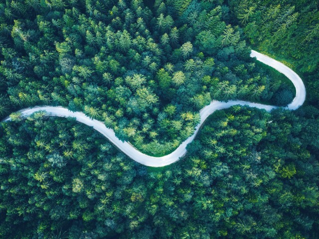 Eine Straße im Wald aus der Vogelperspektive