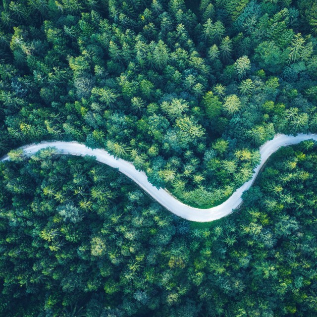 Eine Straße im Wald aus der Vogelperspektive