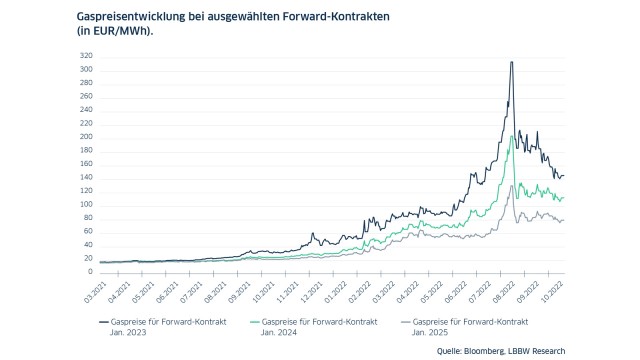 Jahresausbilck 2023 Gaspreis