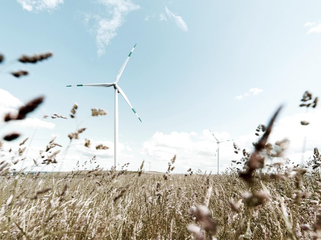 Windräder auf einem Kornfeld