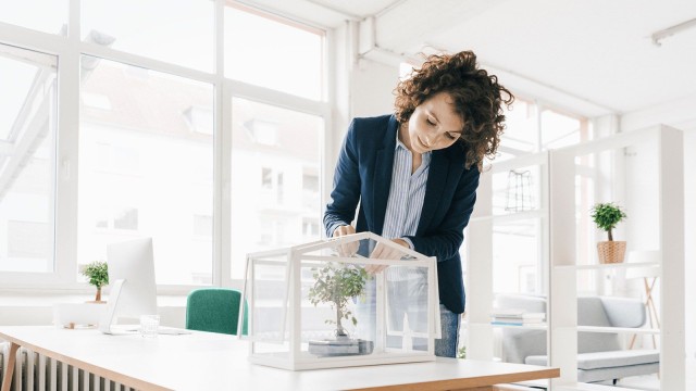 Frau pflegt Pflanze im Büro 