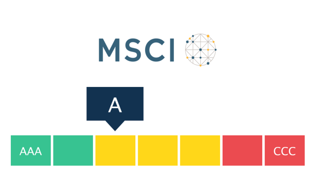 Logo der Nachhaltigkeitsrating-Agentur MSCI ESG