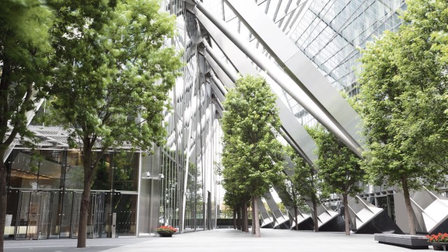 Building with trees in the foreground