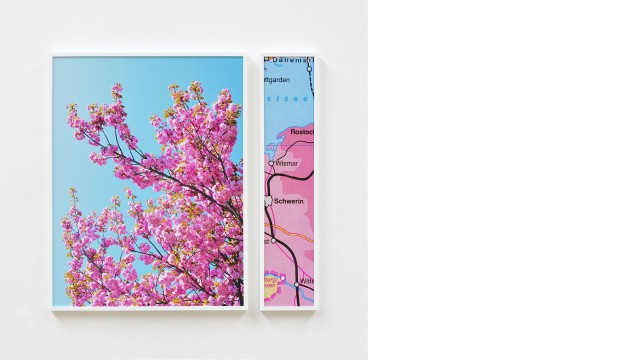 Viktoria Binschtok, Cherry Blossom, 2020