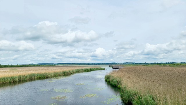 Wiedervern&auml;ssung des Weitenrieds im Landkreis Konstanz
