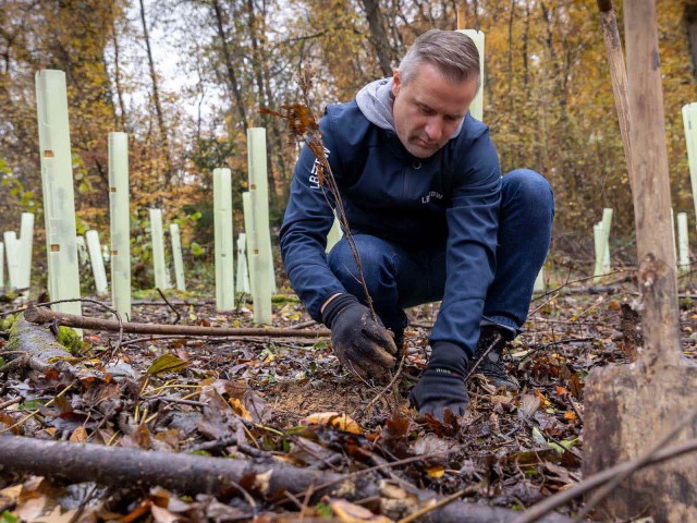 Ein Mann pflanzt einen Baumsetzling