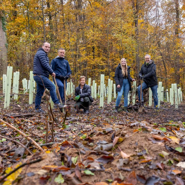 Fünf lächelnde Menschen im Wald mit Schaufeln