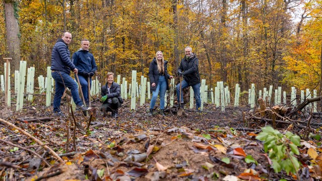 Fünf lächelnde Menschen im Wald mit Schaufeln