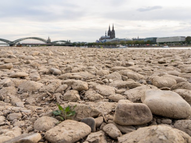 Das ausgetrocknete Flussbett des Rheins in Köln, Deutschland