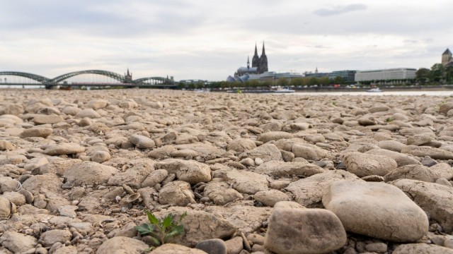 Das ausgetrocknete Flussbett des Rheins in Köln, Deutschland