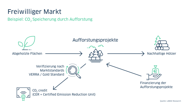 Grafik mit einem Beispiel zur CO2 Speicherung durch Aufforstung