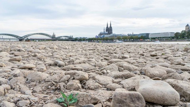 Trockene Erde mit Kölner Dom im Hintergrund