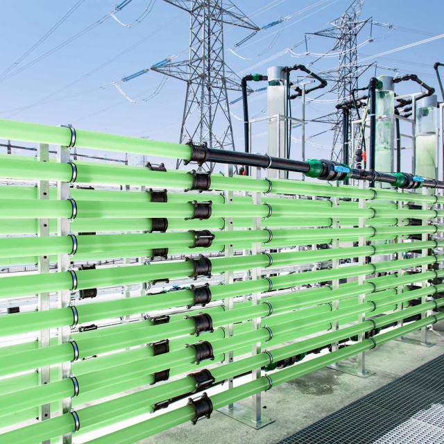 Röhrenförmige Bioreaktoren, gefüllt mit CO2-bindenden Grünalgen