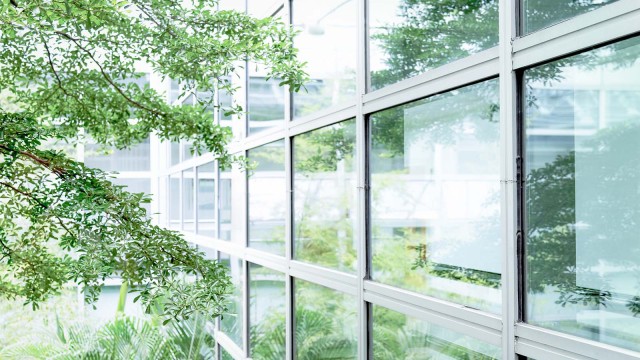 Baum, der sich in einer Glasfassade spiegelt 