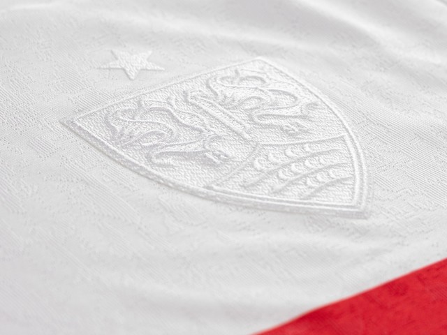 VfB Stuttgart Sondertrikot 100 Jahre Brustring